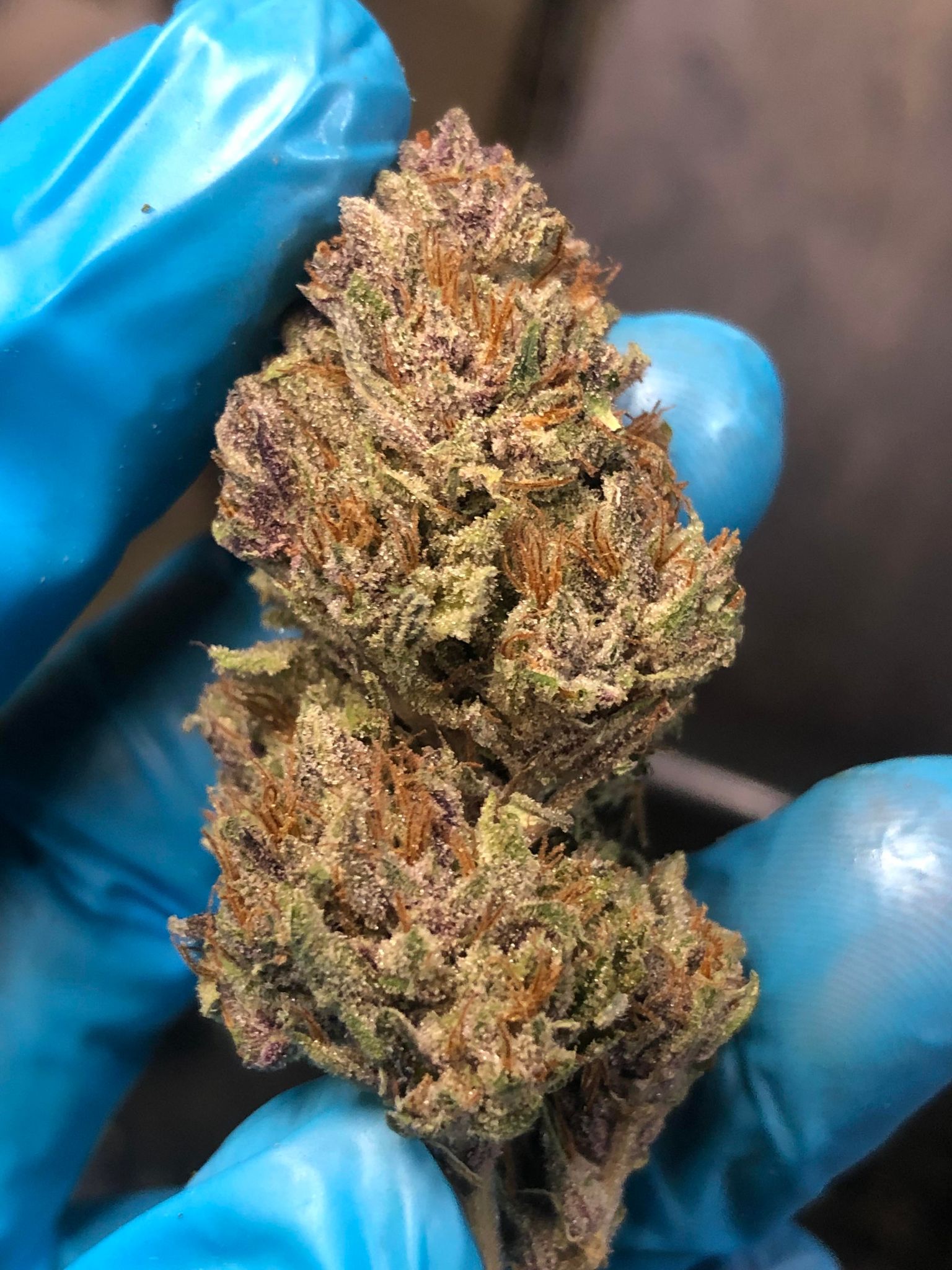 ✨Lemon milk✨ Lemon Milk Font by andikastudio · Creative Fabrica