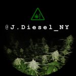 J-Diesel-NY