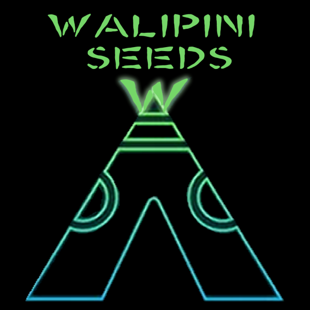 Walipini Seed