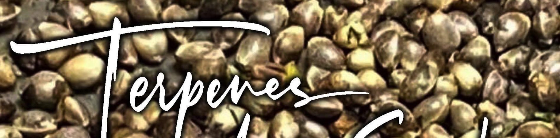 Terpenes master seeds